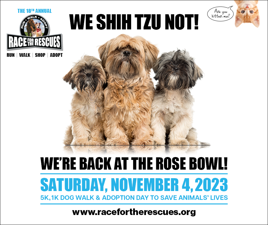 Shih Tzu banner 1
