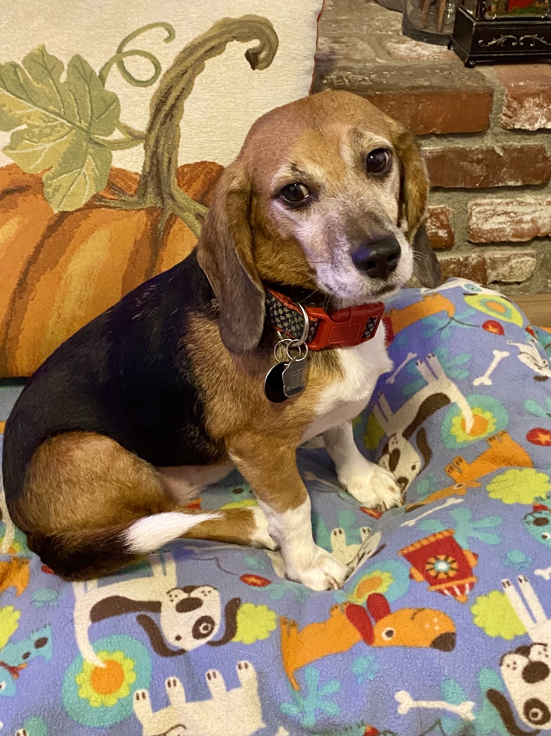 Rocky contest photo