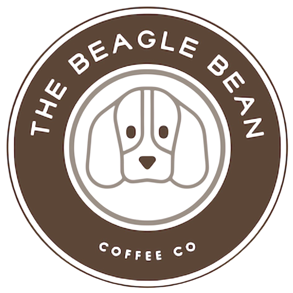 beagle bean square transparent